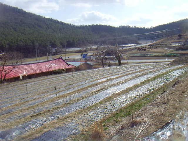 B000514202501300503402.jpg