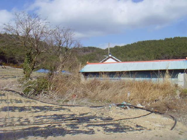 B000514202501300503403.jpg