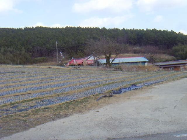 B000514202501300503401.jpg