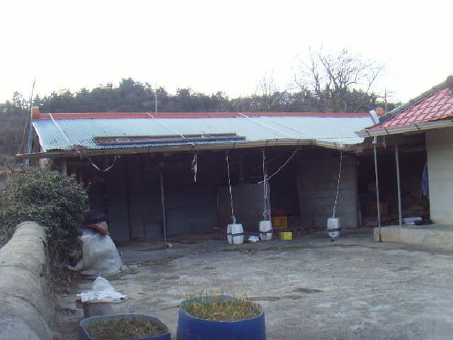 B000514202501300503404.jpg