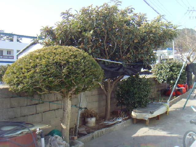 B000514202501300503413.jpg