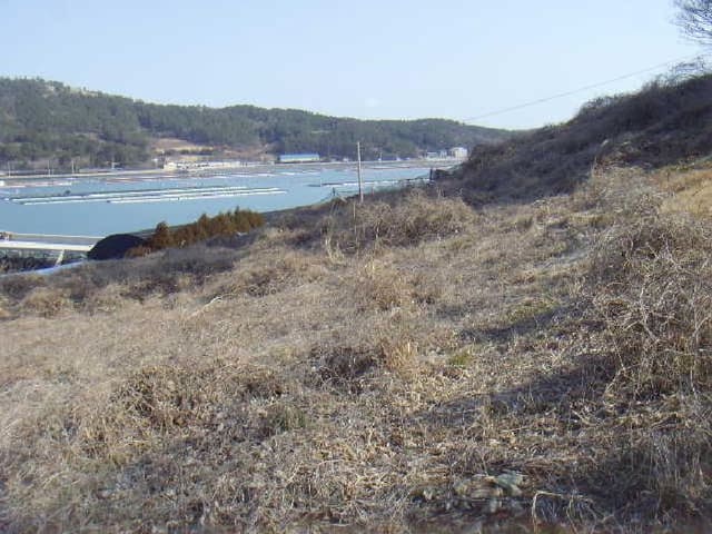 B000514202501300503414.jpg