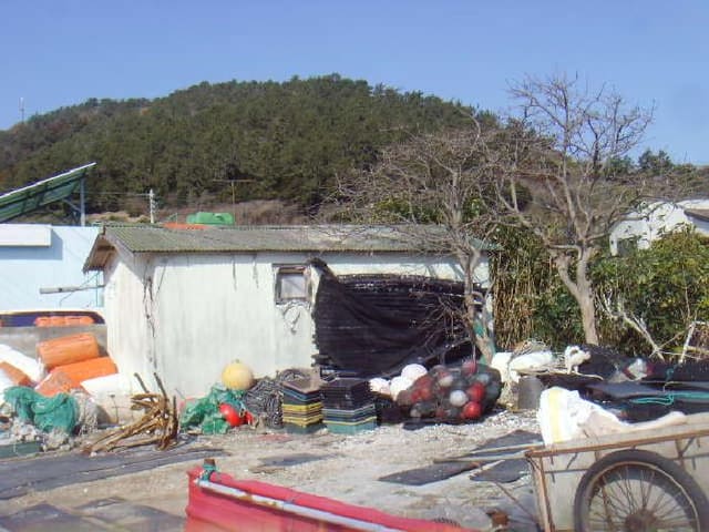 B000514202501300503412.jpg