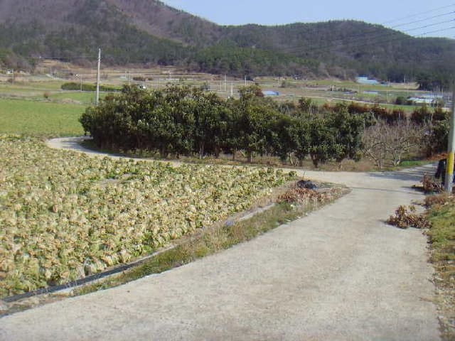 B000514202501300503434.jpg