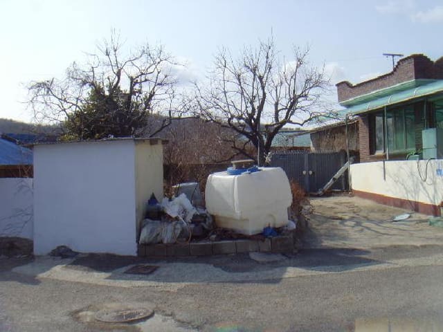 B000514202501300503431.jpg