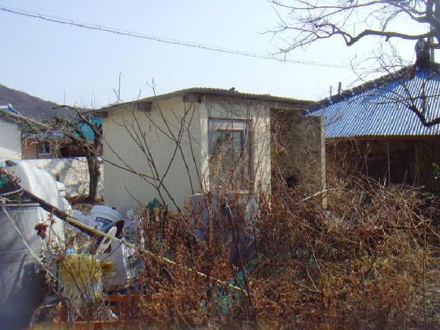 B000514202501300503432.jpg