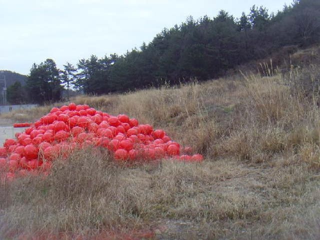 B000514202501300503671.jpg