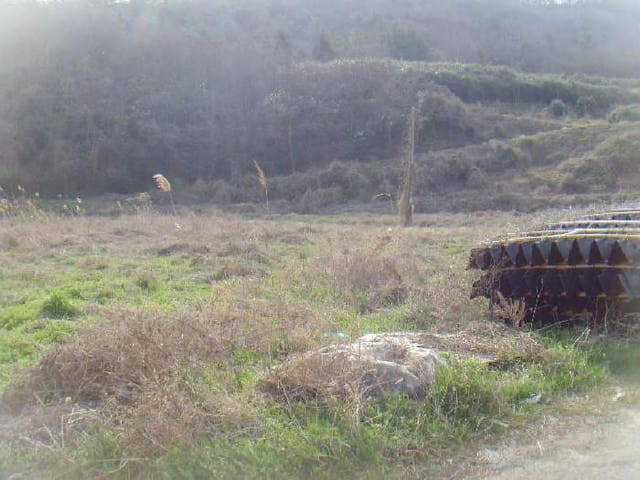 B000514202501300503821.jpg