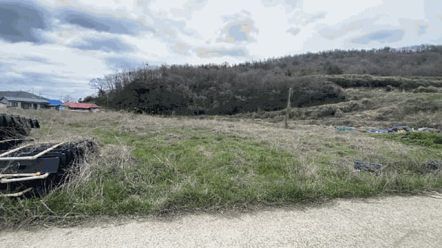 B000514202501300503823.jpg