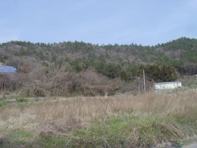 B000514202501300504042.jpg