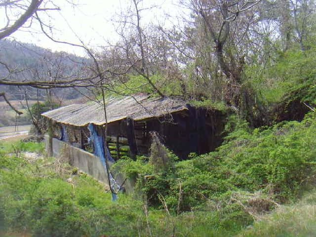 B000514202501300504044.jpg