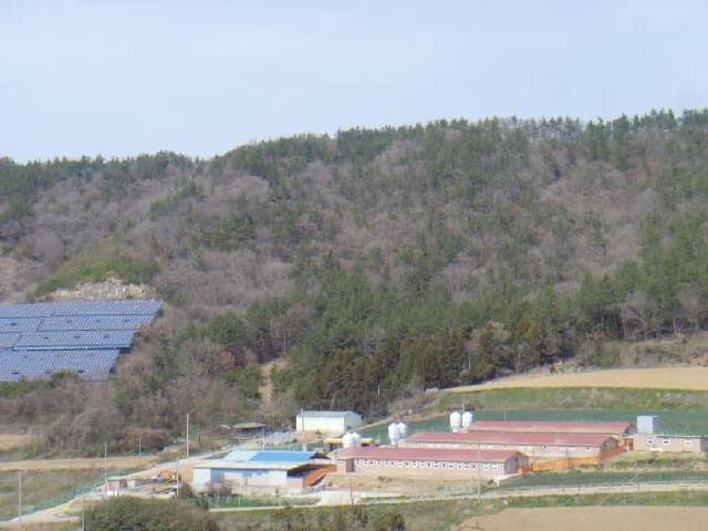 B000514202501300504041.jpg