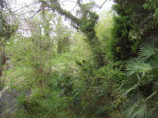 B000514202501300504332.jpg