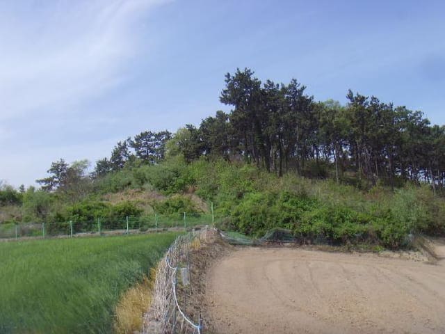 B000514202501300504333.jpg