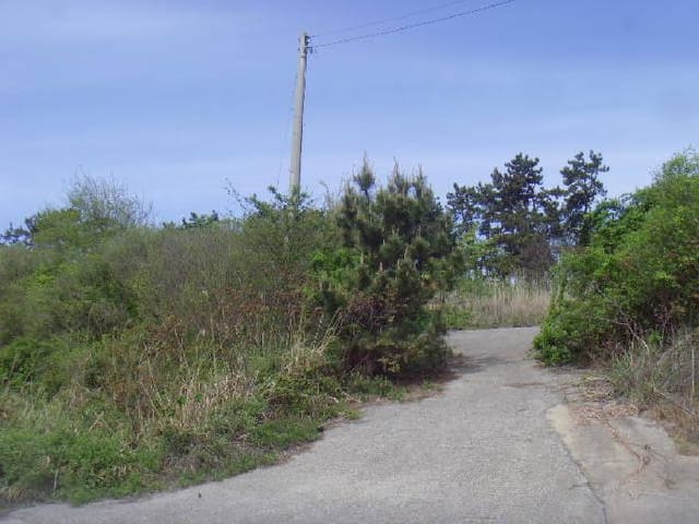 B000514202501300504331.jpg