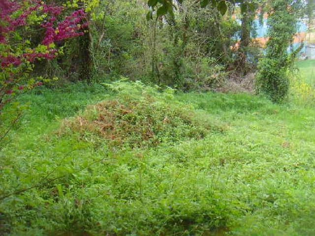 B000514202501300504334.jpg