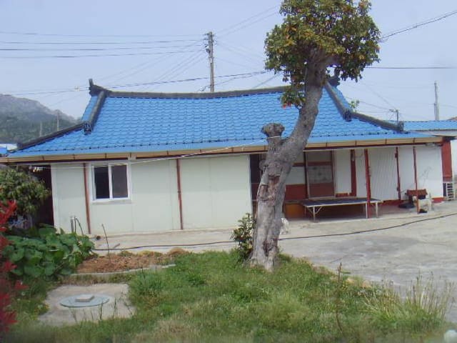 B000514202501300504401.jpg