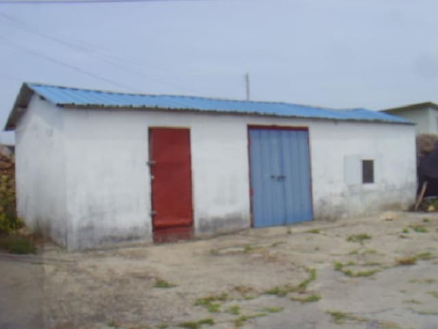 B000514202501300504404.jpg