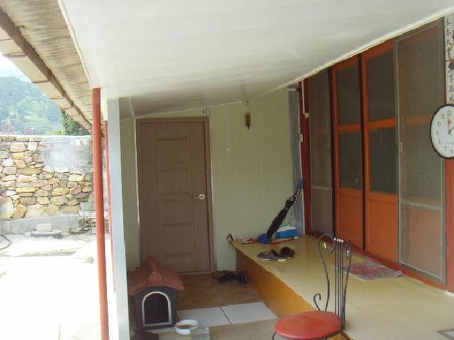 B000514202501300504403.jpg