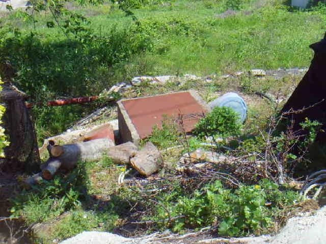 B000514202501300504434.jpg