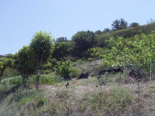 B000514202501300504431.jpg