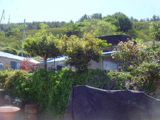 B000514202501300504433.jpg