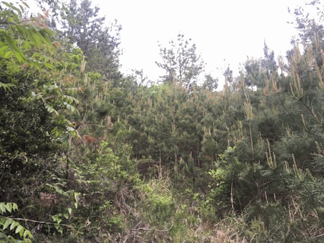 B000514202501300504564.jpg