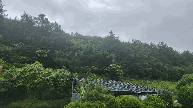 B0005142025013005048113.jpg