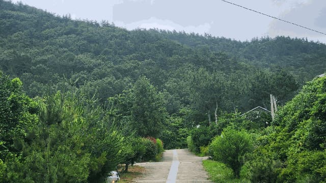 B0005142025013005048110.jpg