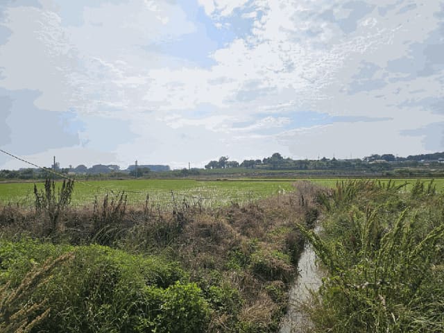 B000514202501300504824.jpg