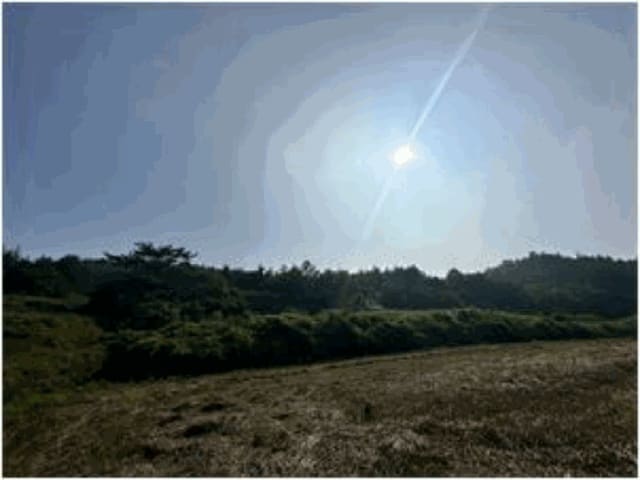 B000514202501300505024.jpg
