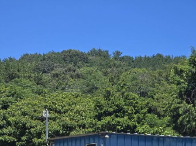 B000514202501300505271.jpg