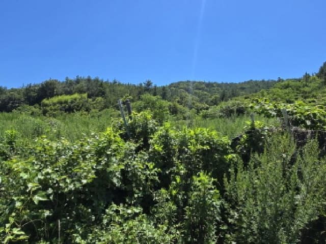 B000514202501300505274.jpg