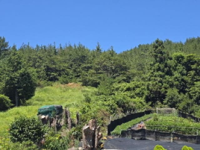 B000514202501300505273.jpg
