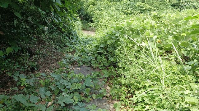 B0005142025013005056412.jpg
