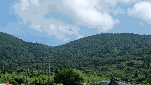 B0005142025013005056413.jpg