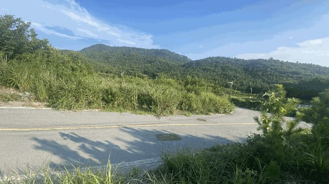 B000514202501300505844.jpg