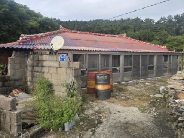 B000514202501300506422.jpg