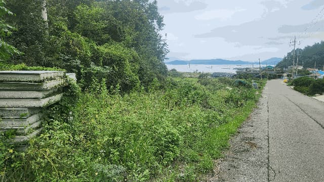 B000514202501300506473.jpg