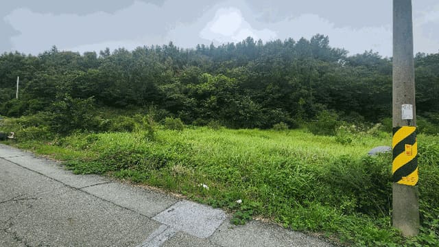 B000514202501300506474.jpg