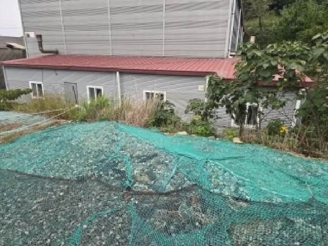 B000514202501300506523.jpg