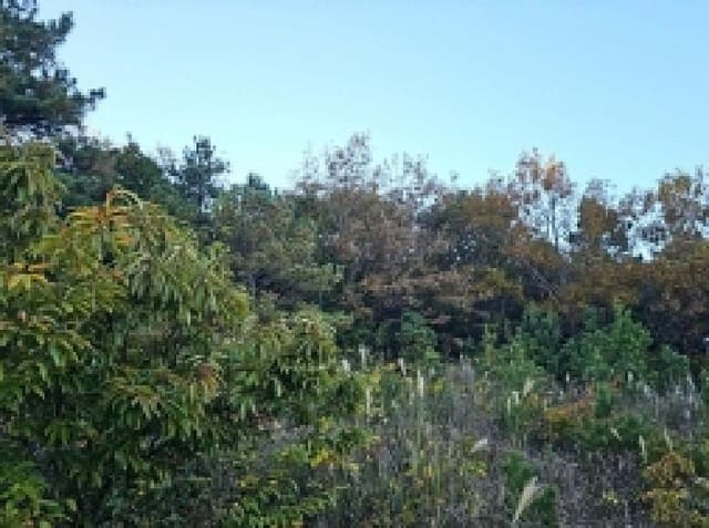 B000514202501300506901.jpg