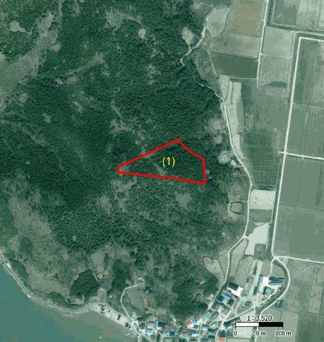 B000514202501300506903.jpg