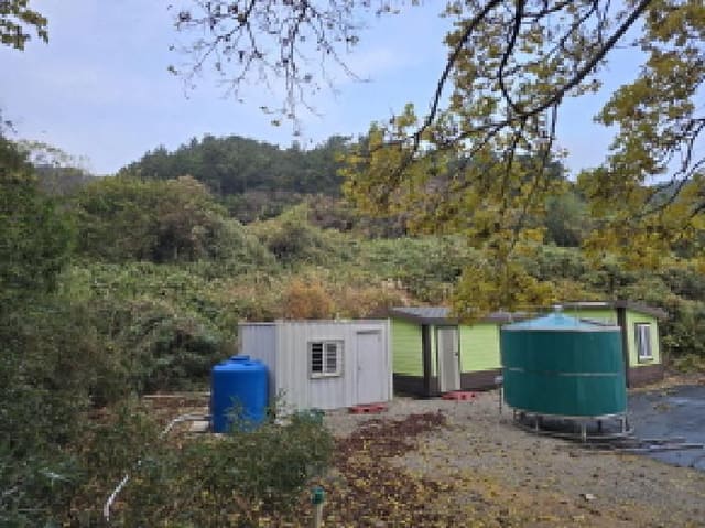 B000514202501300506962.jpg