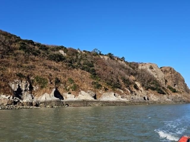 B000514202501300507203.jpg