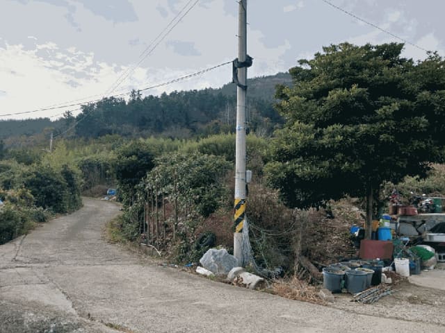 B000514202501300507414.jpg