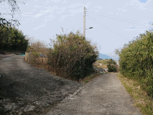 B000514202501300507413.jpg