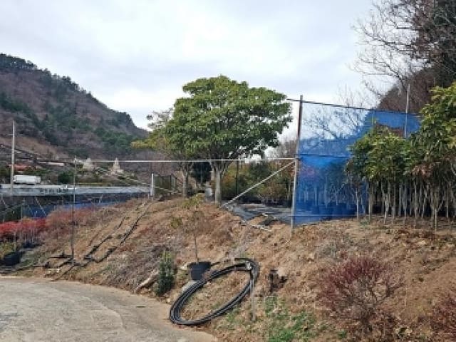 B000514202501300507493.jpg