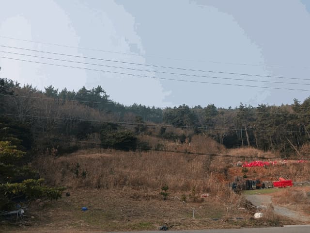 B000514202501300507664.jpg