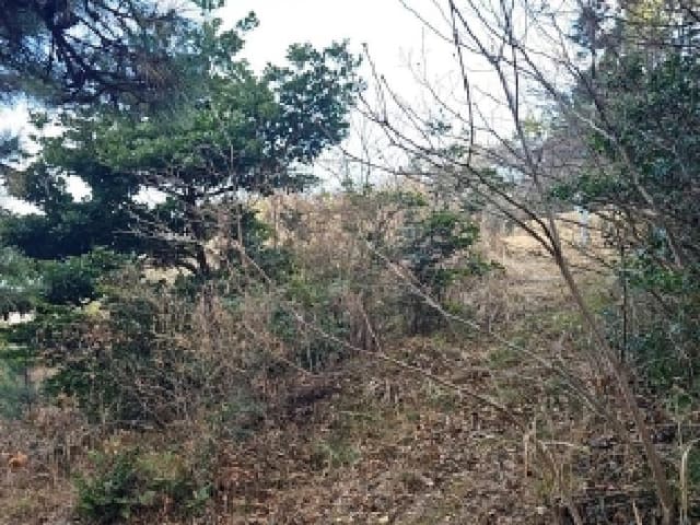 B000514202501300507662.jpg